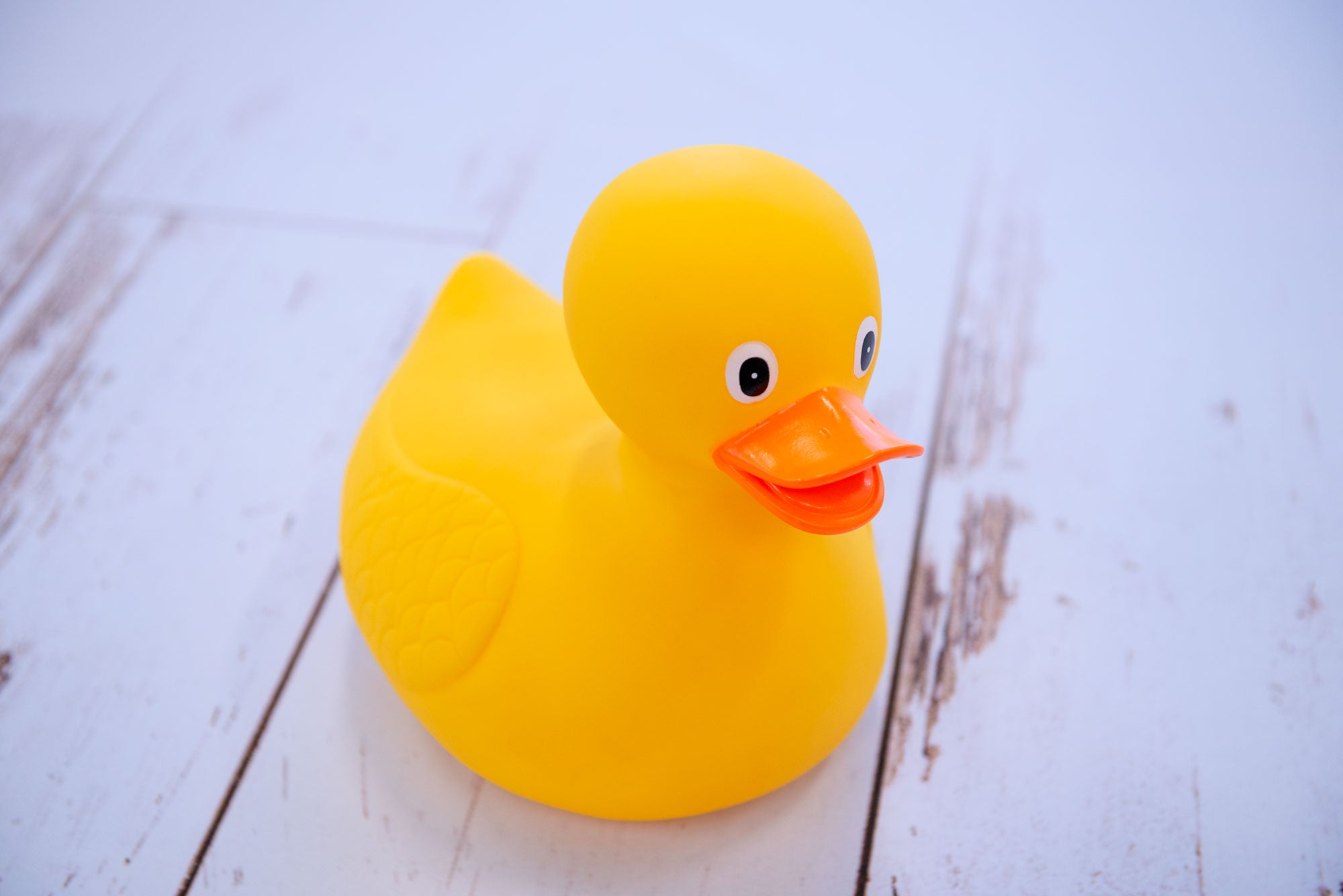 yellow rubber duck