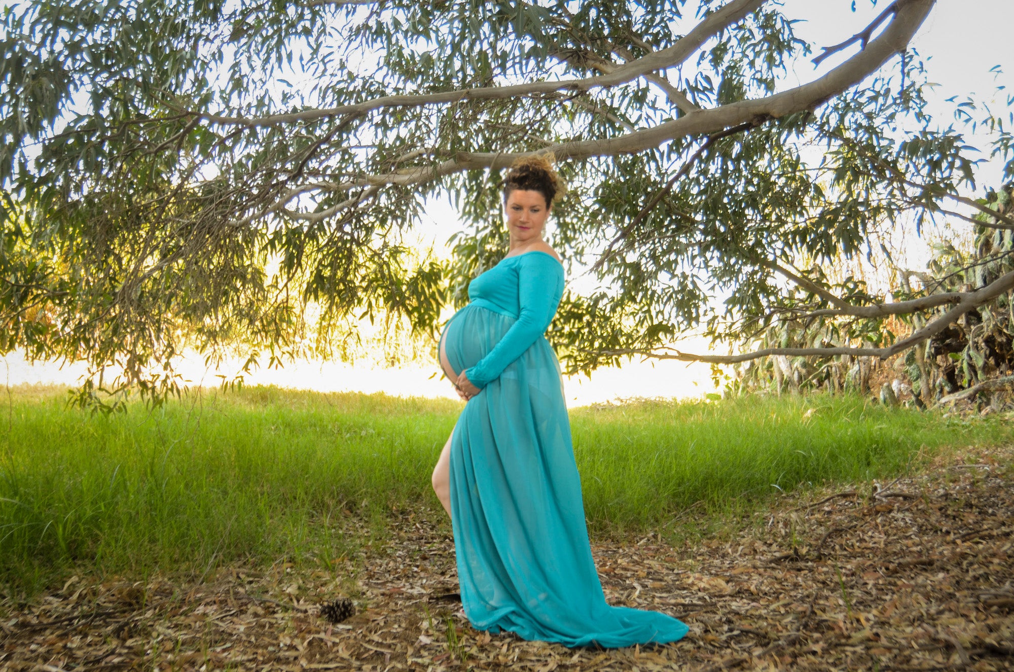 Smooth Long Sleeve and Chiffon Dress