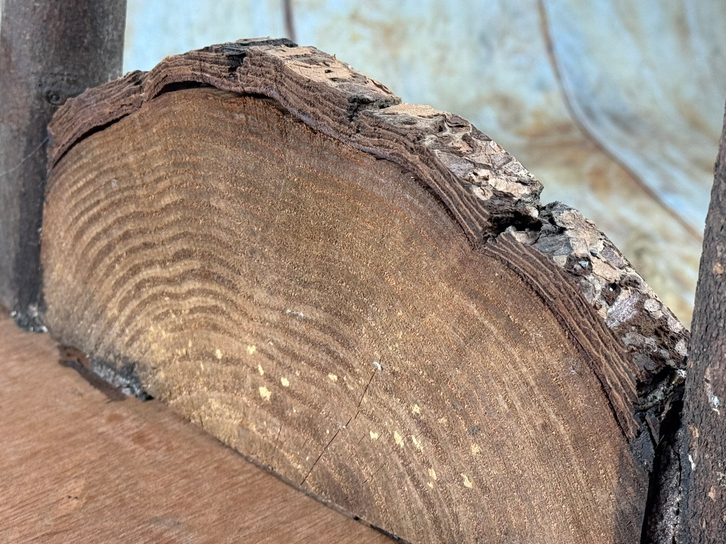 Rustic Bed - Log Headboard