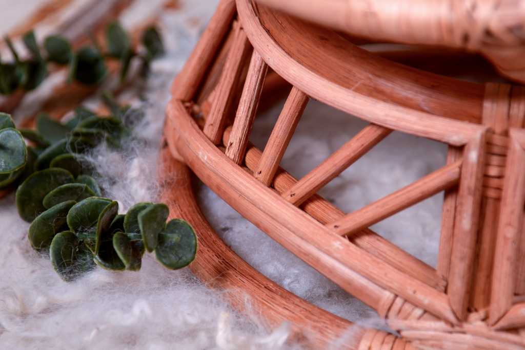 Close-up of eucalyptus sprigs beside the wooden base of a papasan chair newborn photography prop.