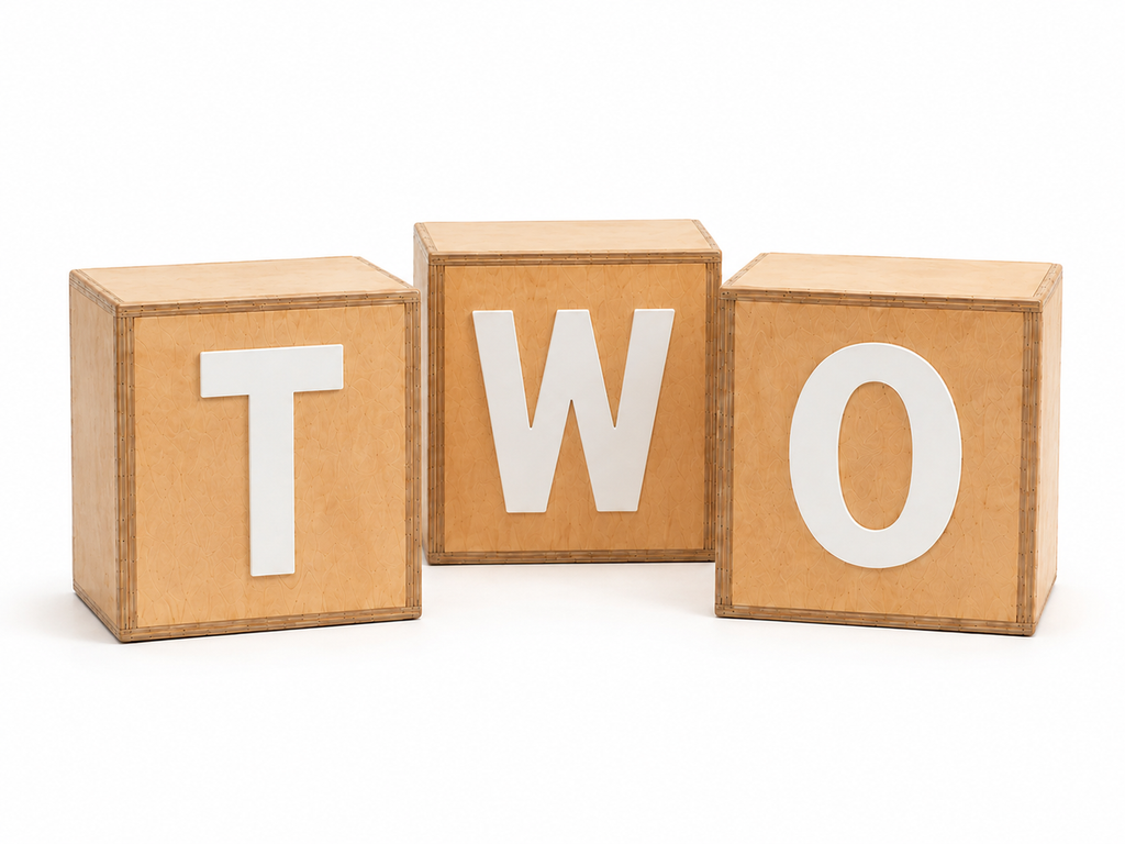 Three wooden letter cubes spelling 'TWO' with white letters. Designed for smash cake and milestone sessions.