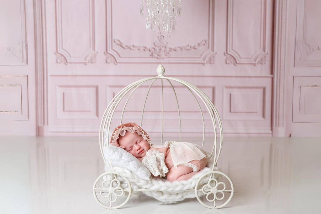 PRE-ORDER Wire Pumpkin Carriage - Model 3