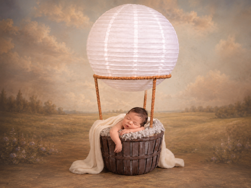 Hot Air Balloon Basket AND White Balloon