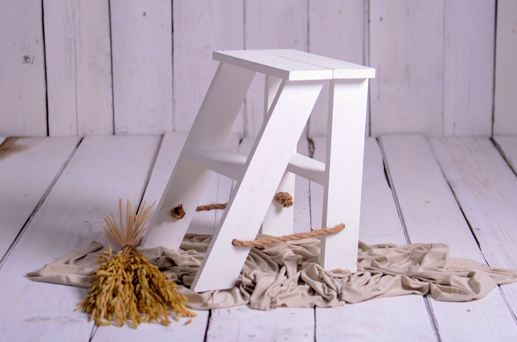 White wooden step ladder mini prop with rope accents, perfect for cakesmash and milestone sessions photography.