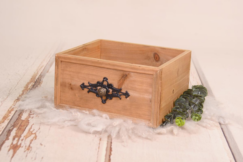 Rustic wooden box prop adorned with an ornate black latch, accompanied by delicate white fluff and a trailing green plant, set against a textured white backdrop. Perfect for newborn photography sessions. Available at Newborn Studio Props.