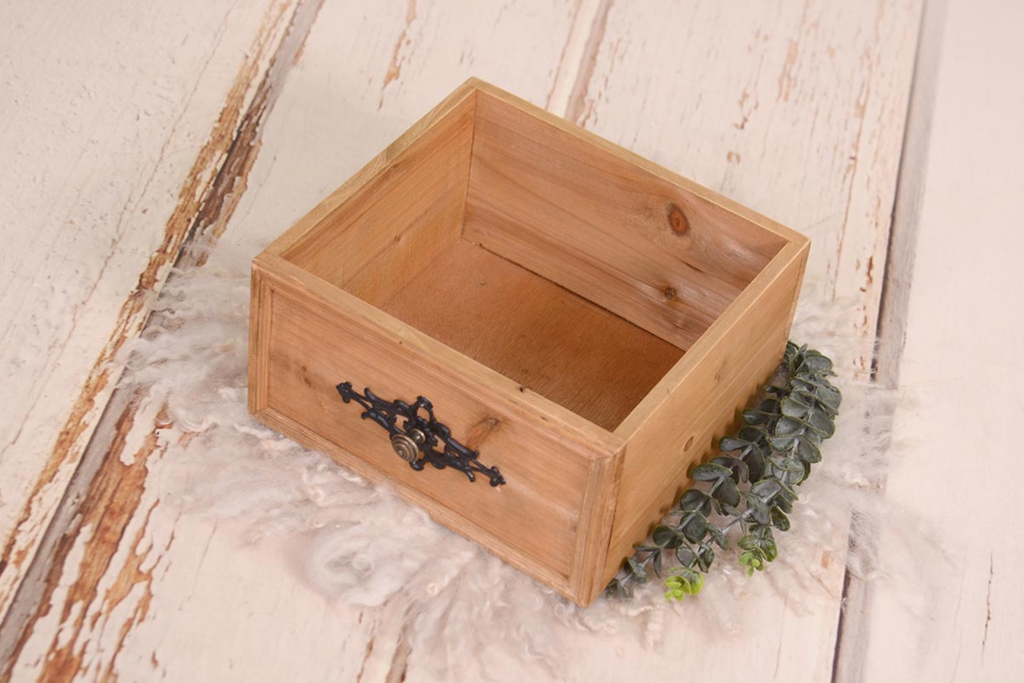 Rustic wooden box prop adorned with an ornate black latch, accompanied by delicate white fluff and a trailing green plant, set against a textured white backdrop. Perfect for newborn photography sessions. Available at Newborn Studio Props.
