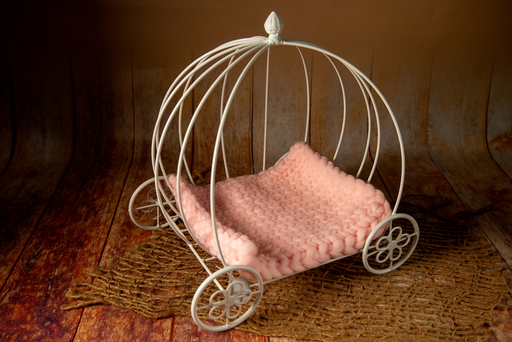 PRE-ORDER Wire Pumpkin Carriage - Model 3