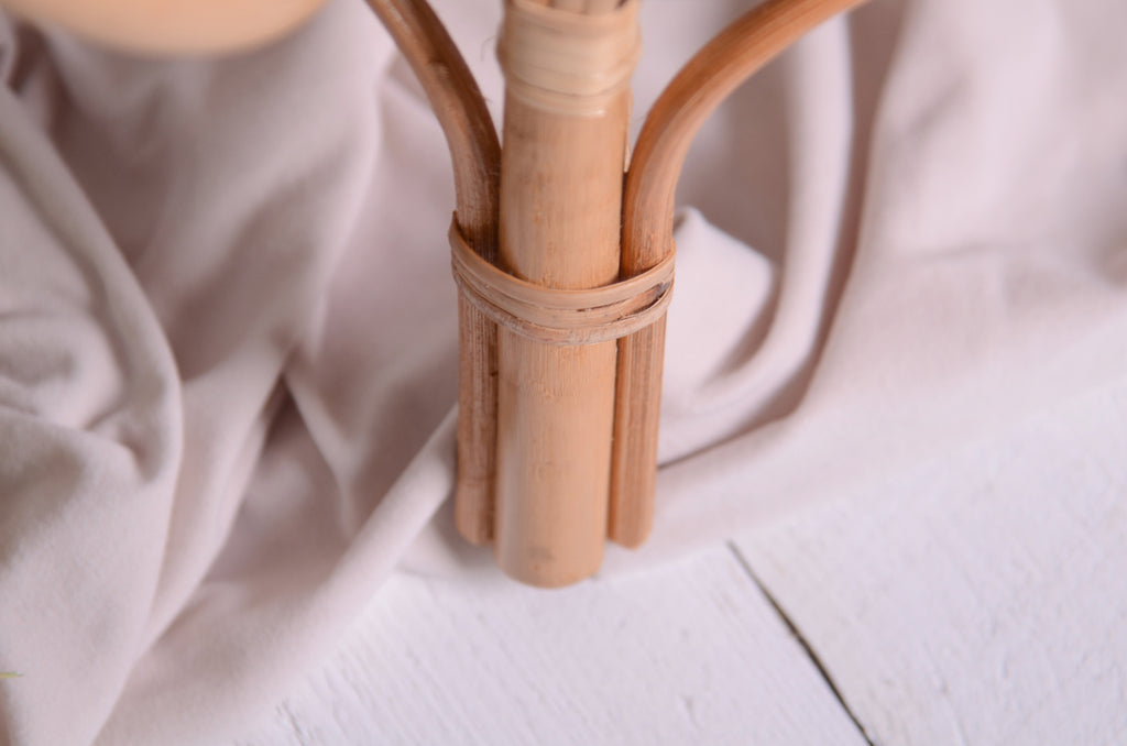 PRE-ORDER Rattan Peacock Chair