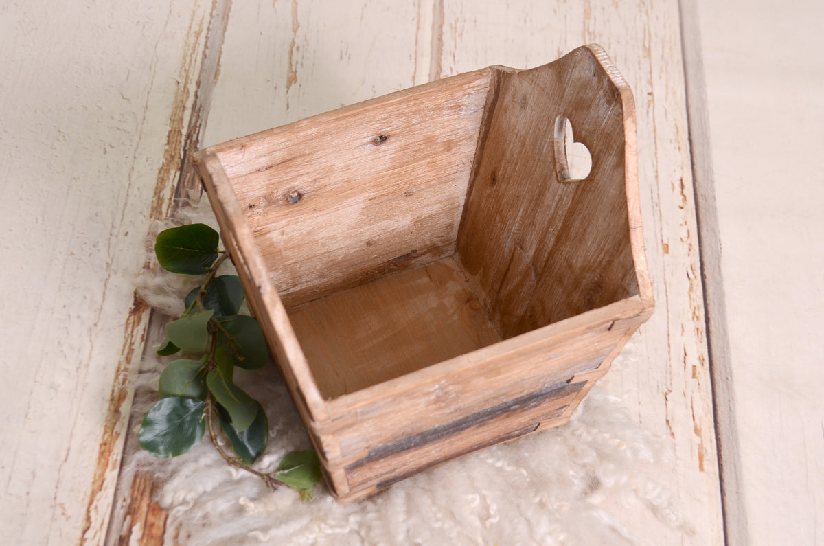 Vintage-inspired wooden crate featuring heart cutouts, set on a soft cream backdrop with greenery for newborn photography sessions.