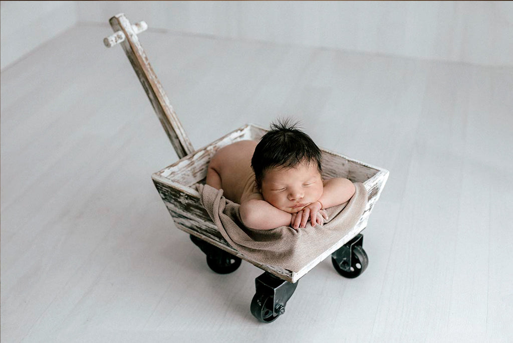 Rustic Wagon Cart - White