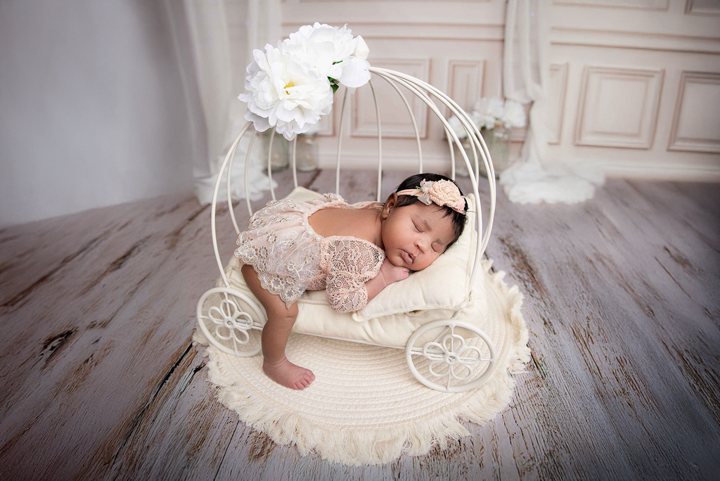 PRE-ORDER Wire Pumpkin Carriage - Model 3