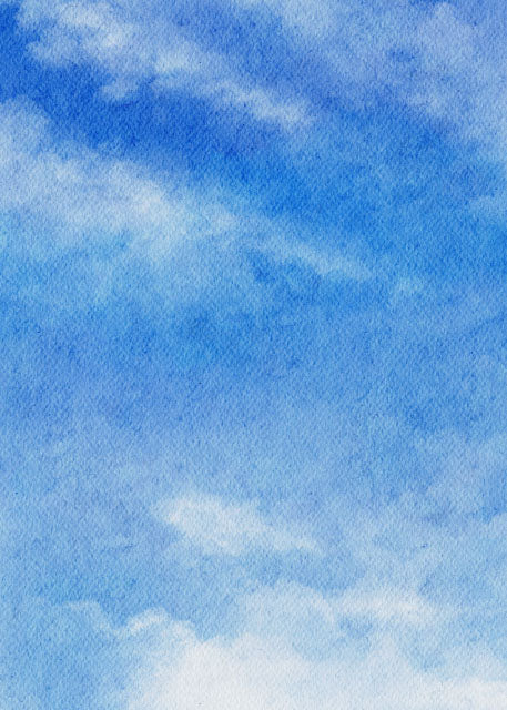 Studio Sky Backdrop/Floor SKY13