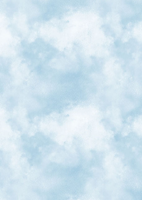 Studio Sky Backdrop/Floor SKY16