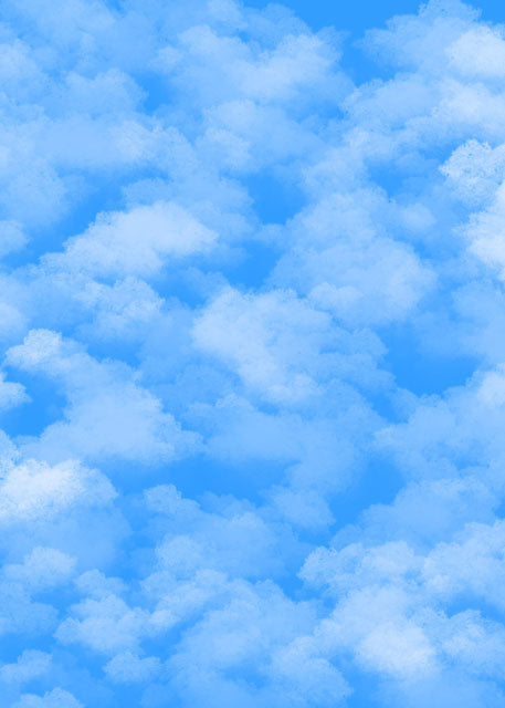 Studio Sky Backdrop/Floor SKY17