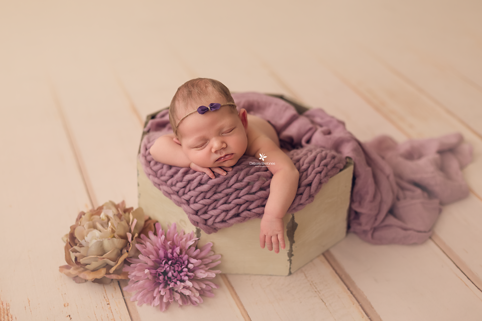 Rustic Bucket - Octogonal - Cream-Newborn Photography Props