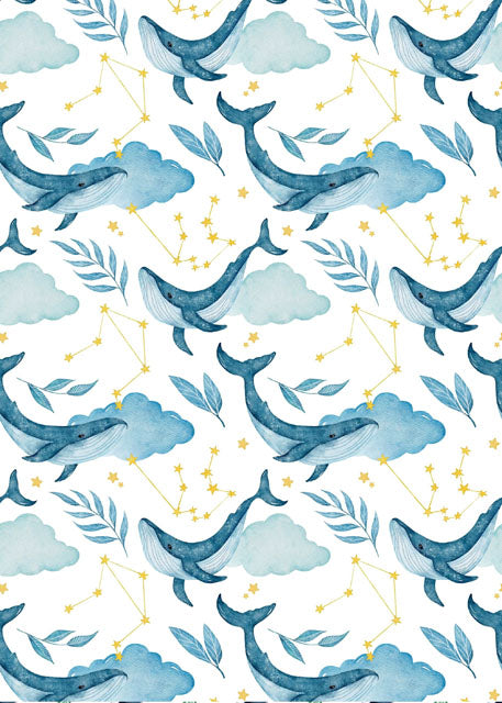 Studio Repetitive Pattern Backdrop/Floor PATT59