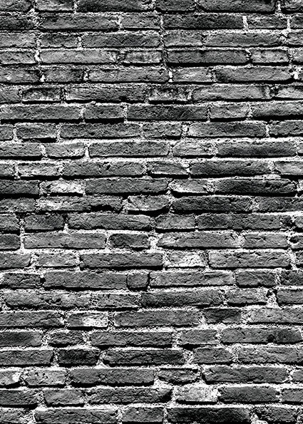 Studio Bricks Backdrop/Floor LR11