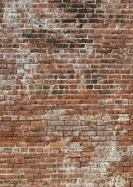 Studio Bricks Backdrop/Floor LR4-Newborn Photography Props
