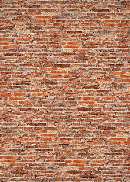 Studio Bricks Backdrop/Floor LR5-Newborn Photography Props