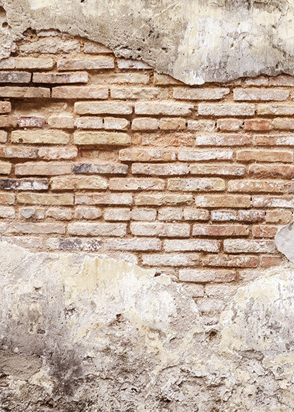Studio Bricks Backdrop/Floor LR6-Newborn Photography Props