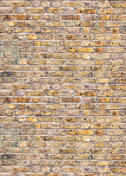 Studio Bricks Backdrop/Floor LR9