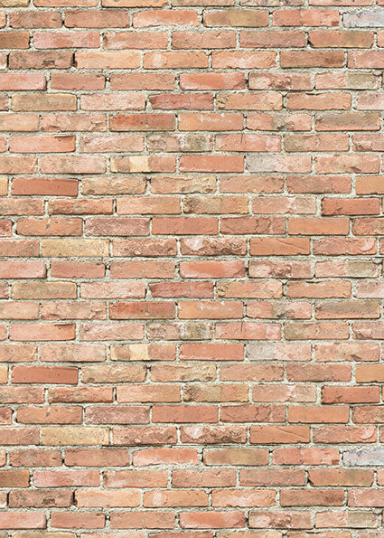 Studio Bricks Backdrop/Floor LR2-Newborn Photography Props