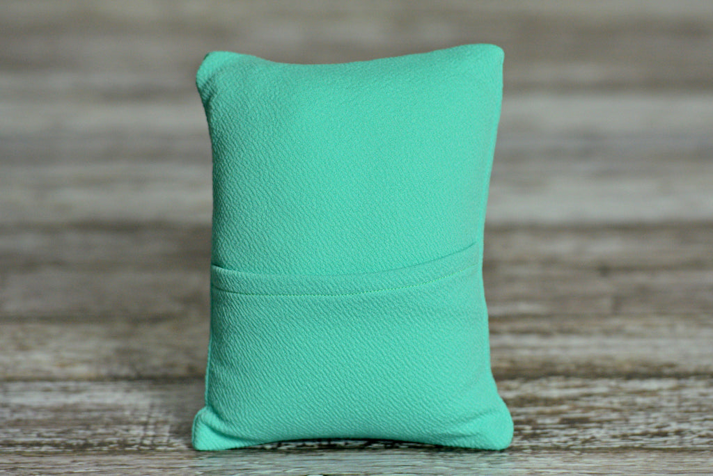 Matching Mini Pillow with Cover AND Bean Bag Fabric - Textured - Mint-Newborn Photography Props
