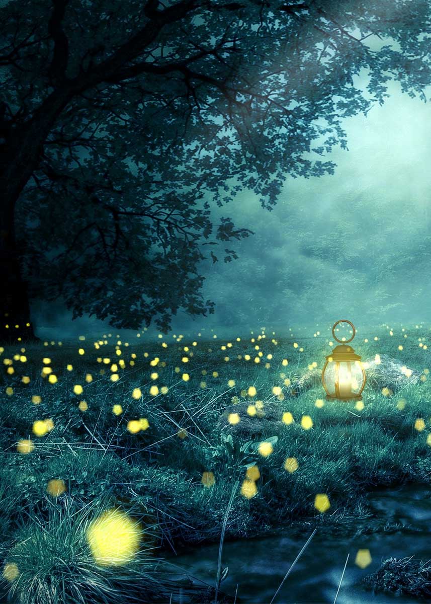 Studio Nature Backdrop/Floor NAT001