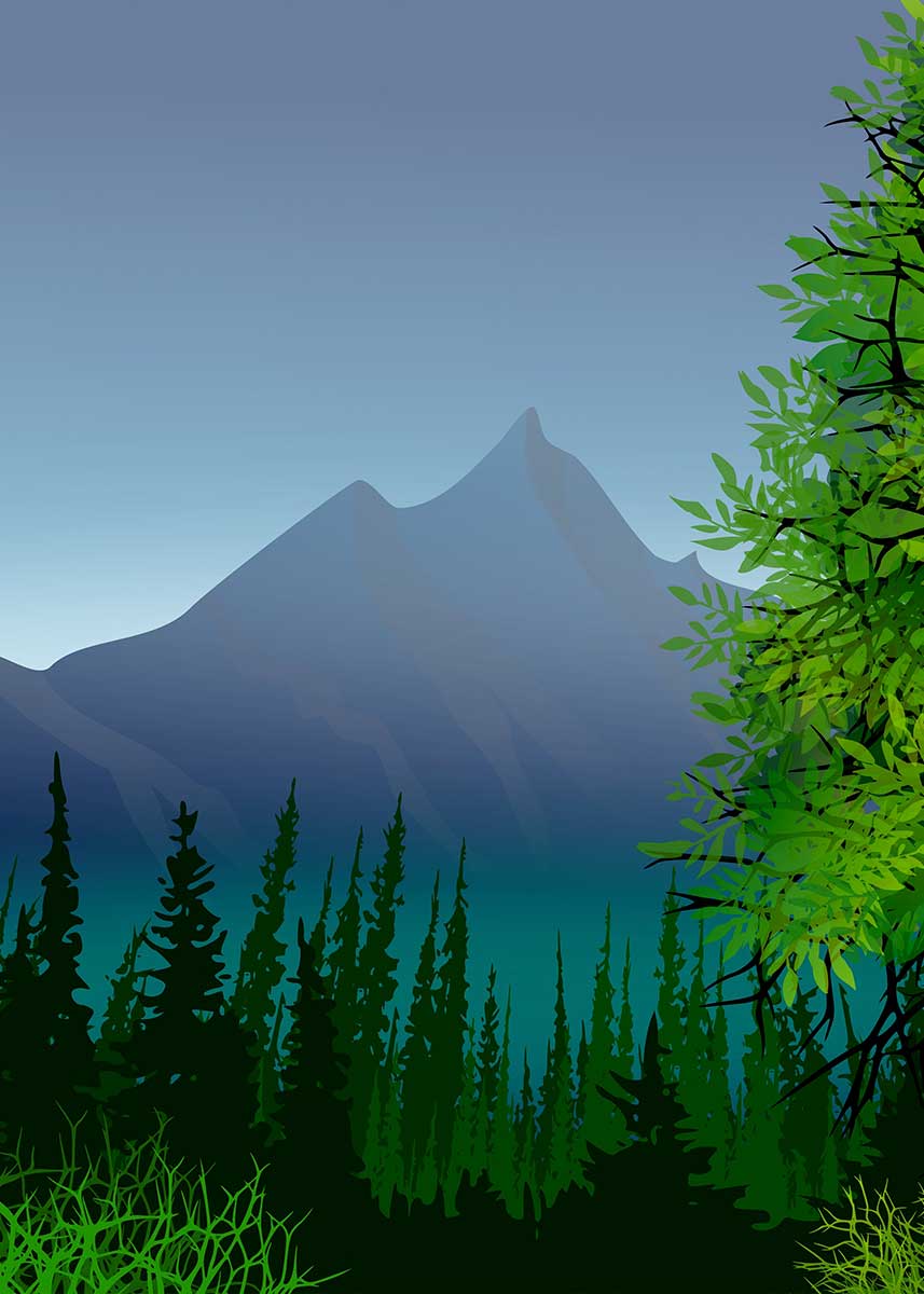 Studio Nature Backdrop/Floor NAT009