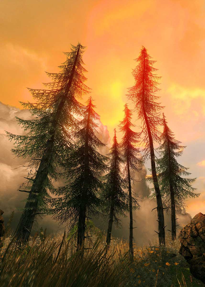 Studio Nature Backdrop/Floor NAT010