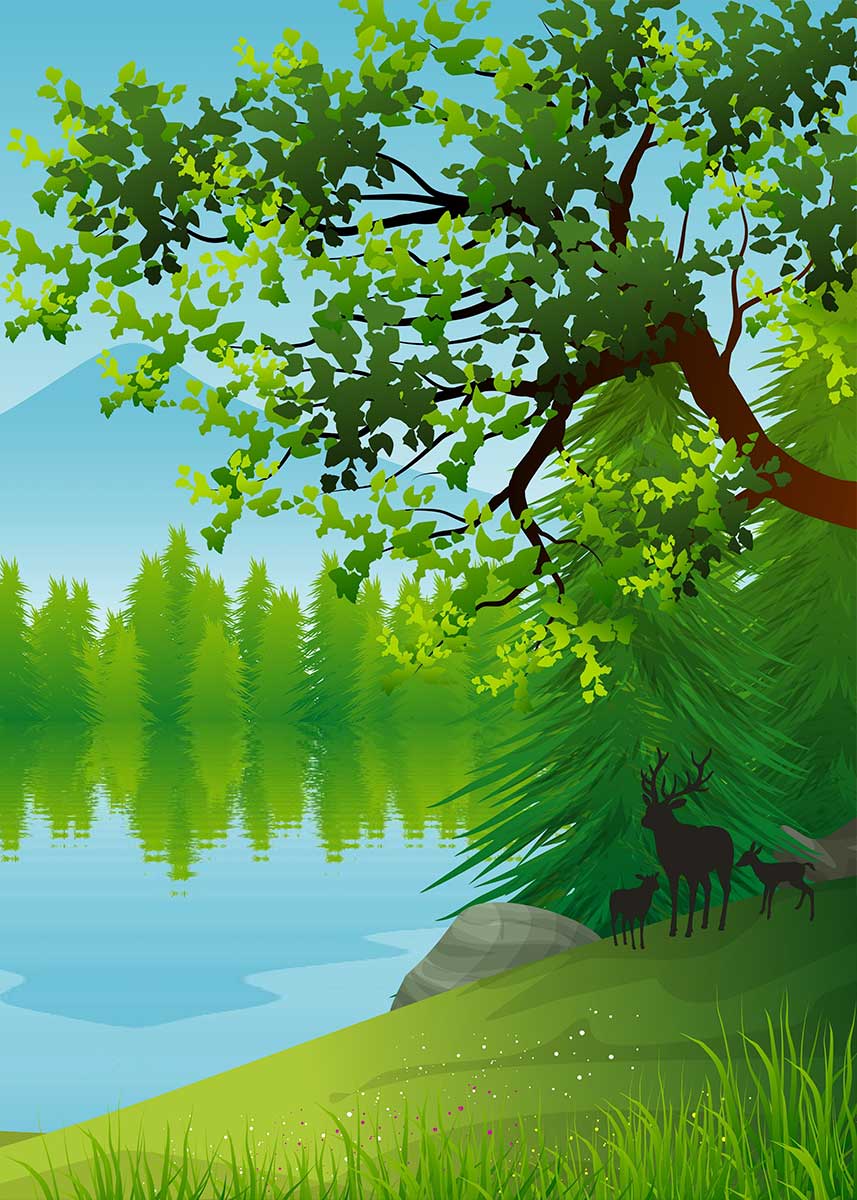 Studio Nature Backdrop/Floor NAT011