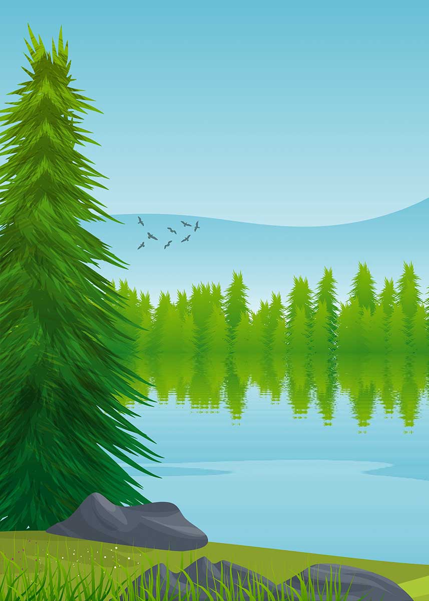 Studio Nature Backdrop/Floor NAT012