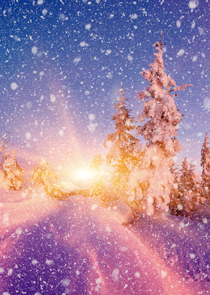 Studio Floor + Wall Backdrop NAV9-Newborn Photography Props