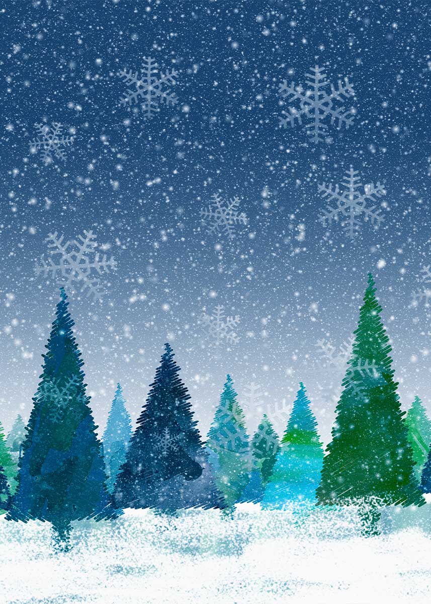 Studio Christmas Backdrop NAV100