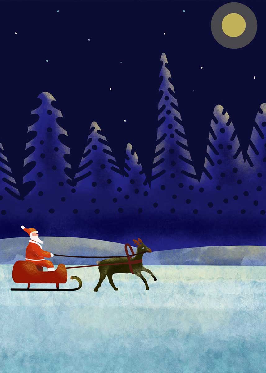 Studio Christmas Backdrop NAV101