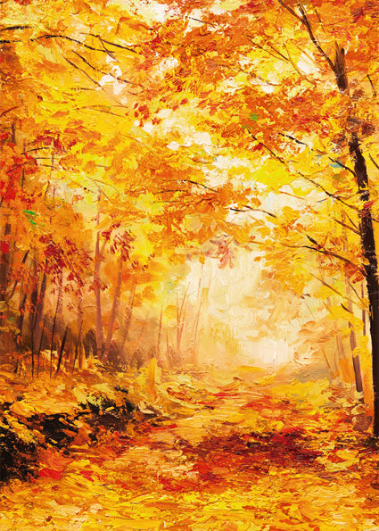 Studio Floor + Wall Backdrop NAV16-Newborn Photography Props