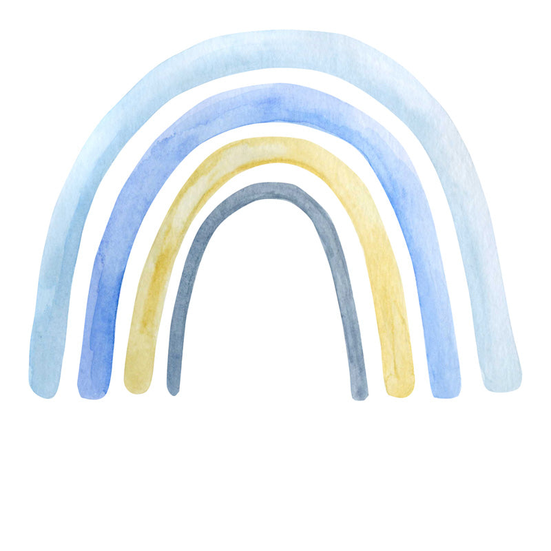 Studio Backdrop/Floor Rainbow RBW22