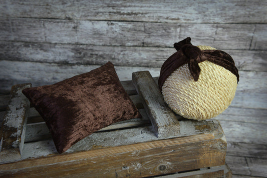 Bandana and Pillow for Newborn Photography