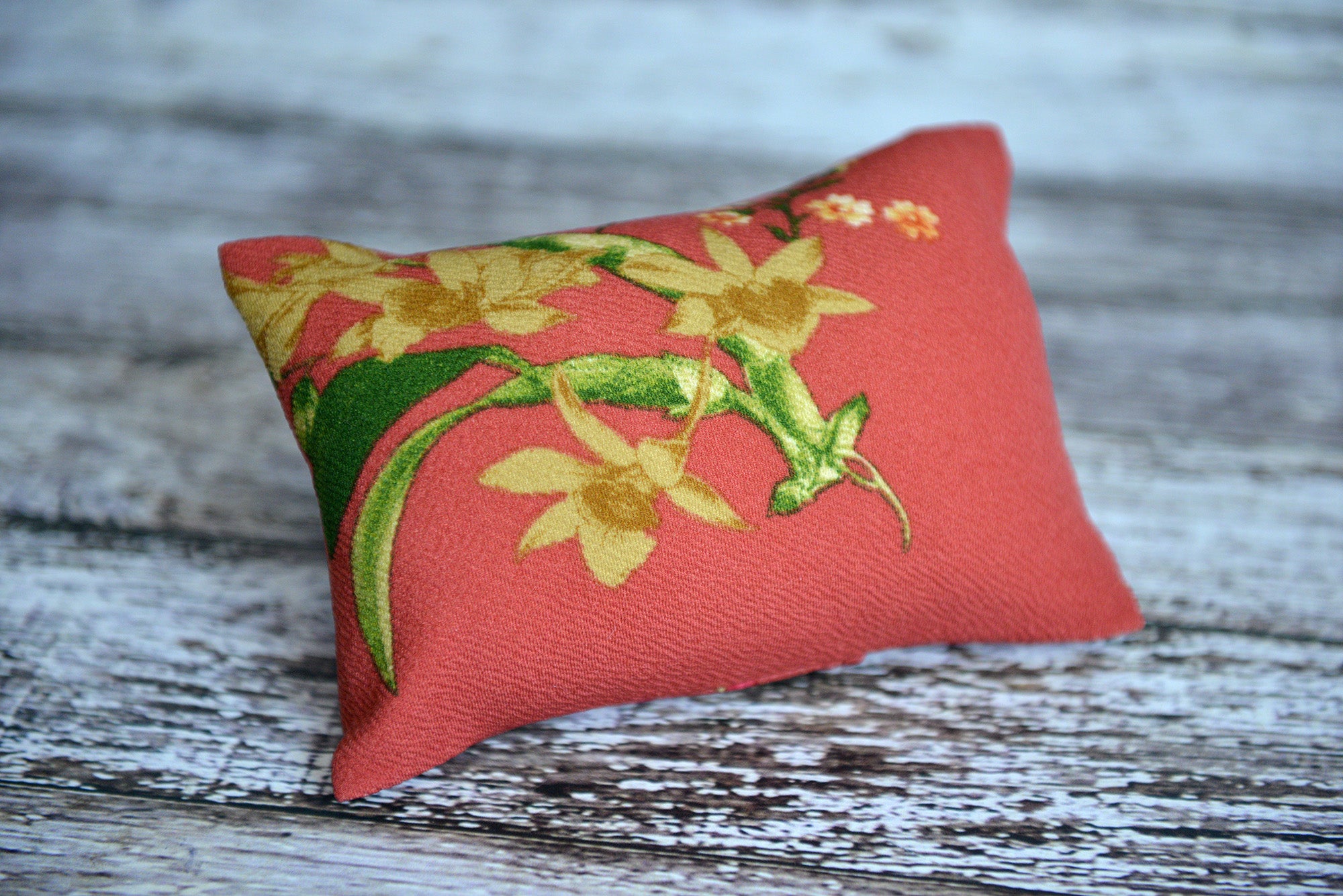 Mini Pillows for Newborn Photography posing