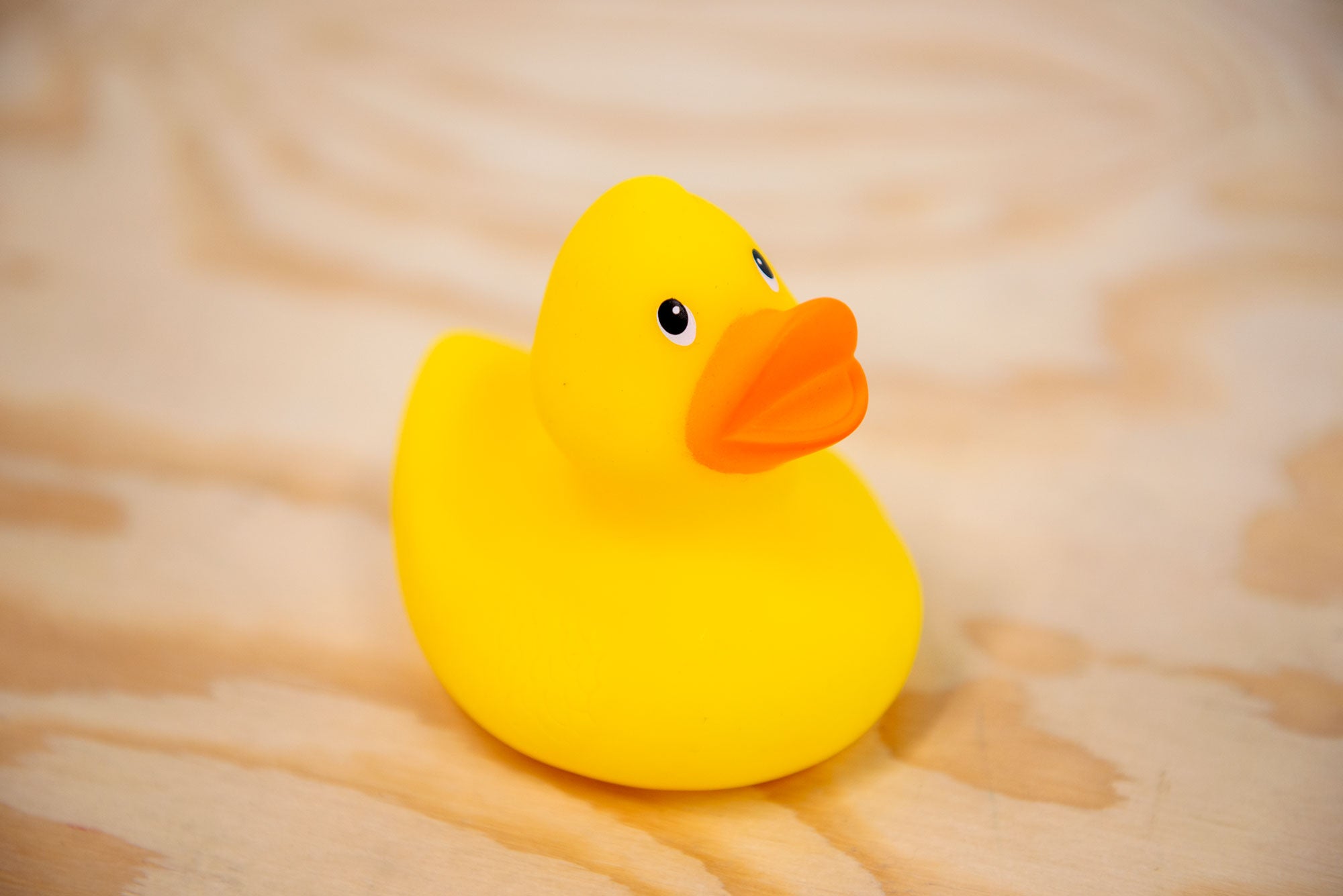 Rubber best sale duck mini