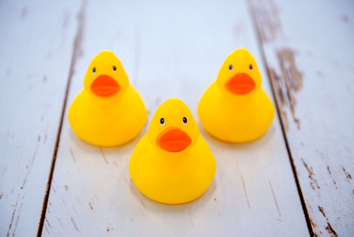 Rubber Duck - Mini Yellow (3 Pack)