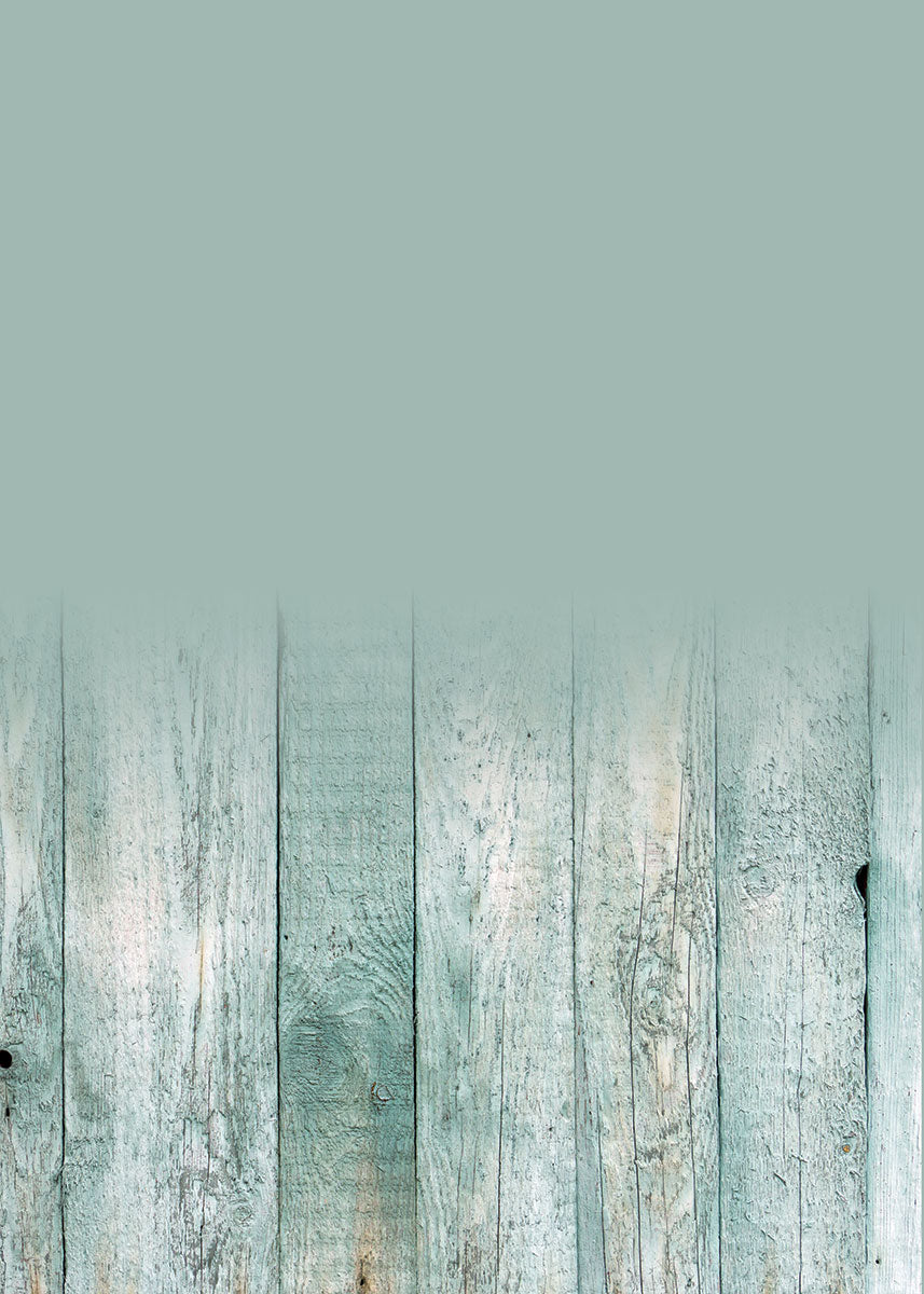 Studio Endless Backdrop/Floor SSF-WD0050-Newborn Photography Props