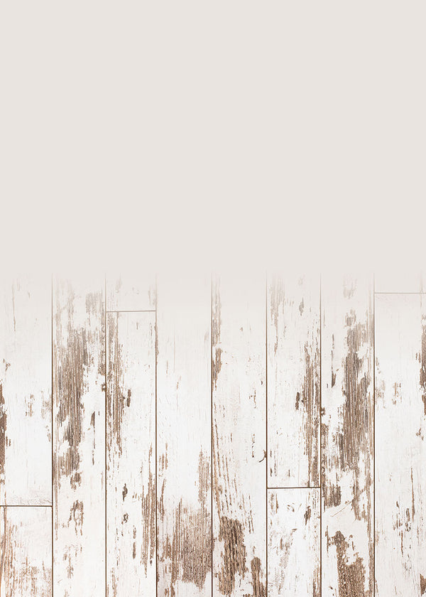 Backdrops and Floors