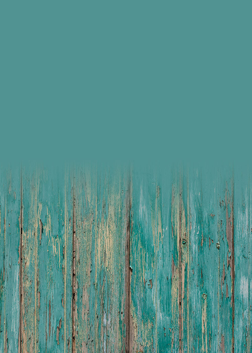 Studio Endless Backdrop/Floor SSF-WD0097-Newborn Photography Props