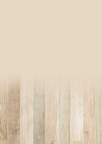 Studio Endless Backdrop/Floor SSF2-Newborn Photography Props