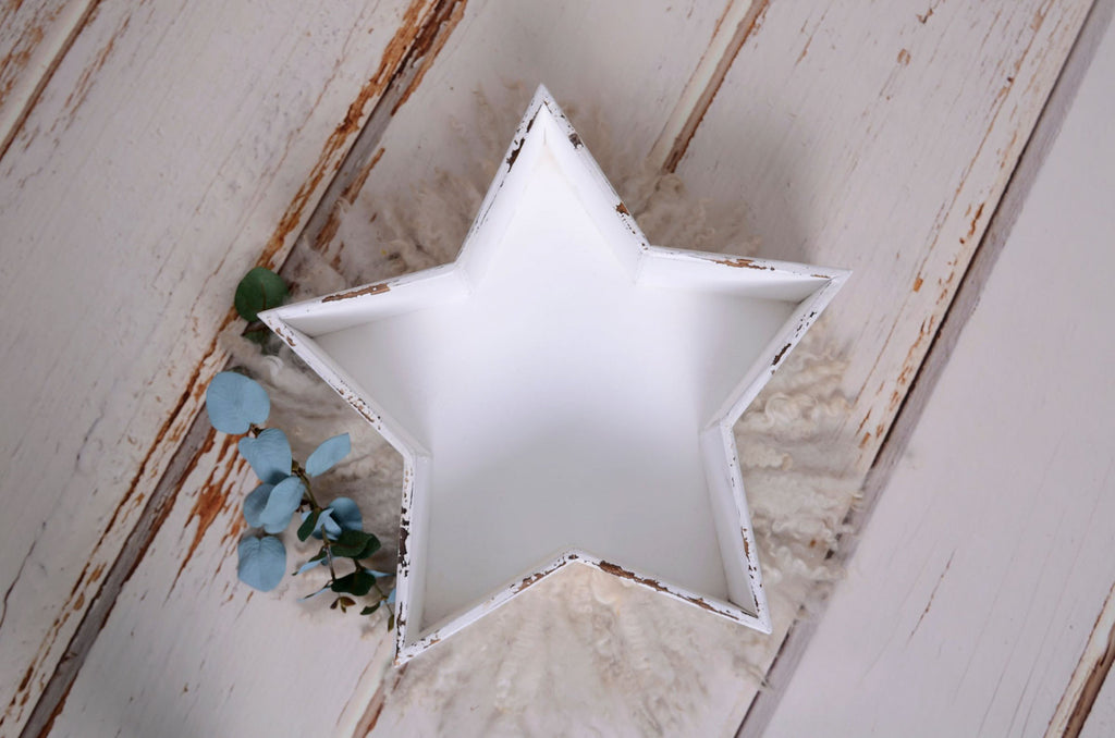Vintage Star Bowl - White