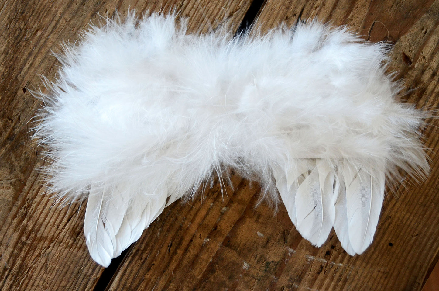 Angel Wings-Newborn Photography Props