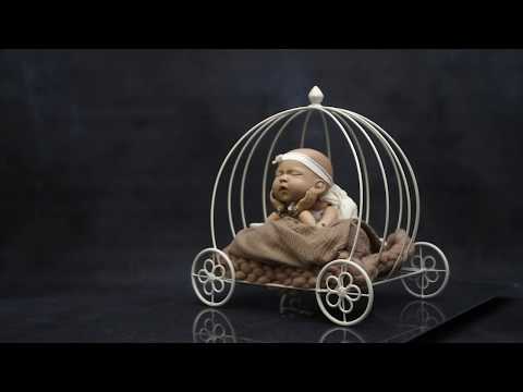 PRE-ORDER Wire Pumpkin Carriage - Model 3