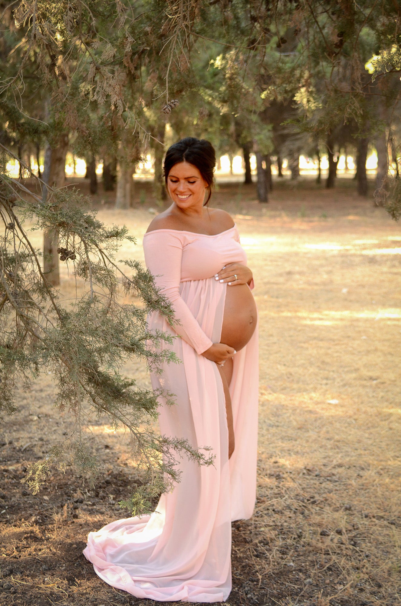 Smooth Long Sleeve and Chiffon Dress