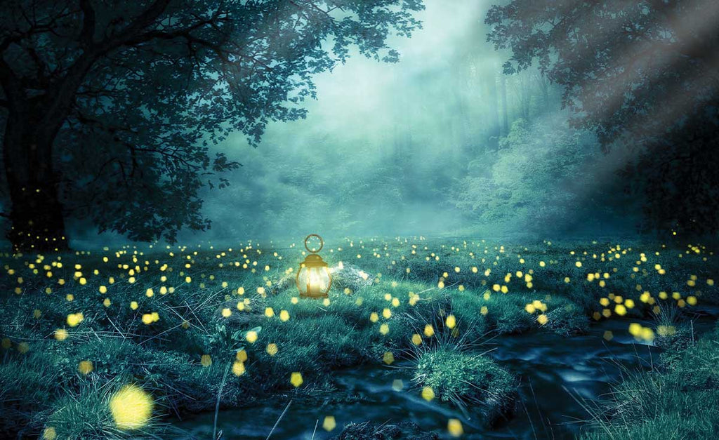 Studio Nature Backdrop/Floor NAT001